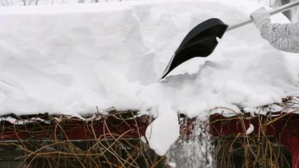 Rengöring av tak från snö — Stockvideo