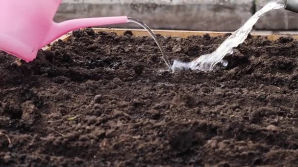 Family watering ground with can — Stock Video