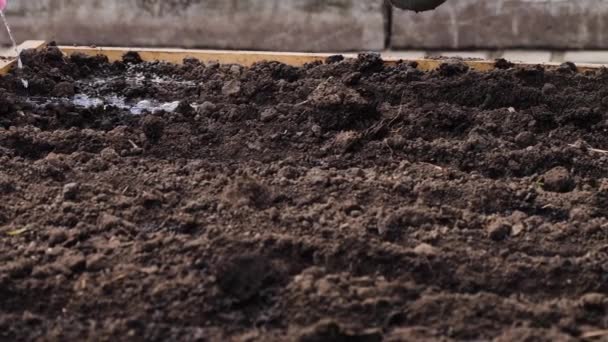 Земля сімейного поливу з балончиком — стокове відео