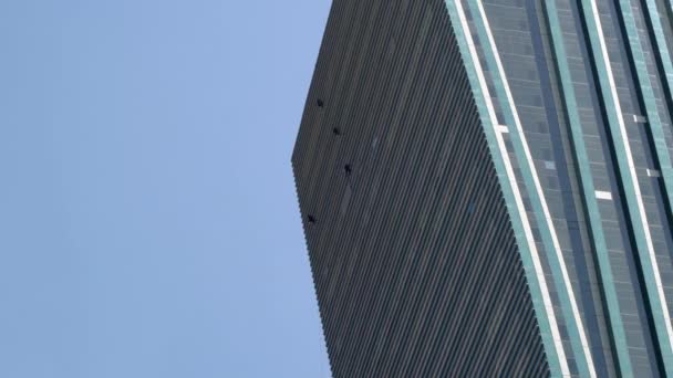 Escaladores industriales lavan las ventanas de rascacielos modernos . — Vídeos de Stock