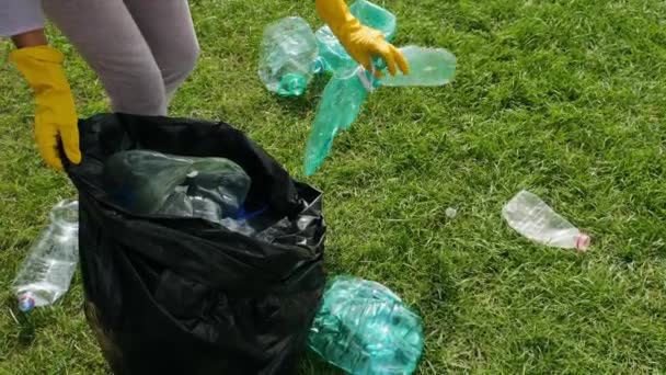 Volunteer collect plastic bottles — Stock Video