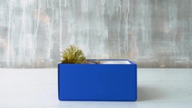 Mavi kutuda oturan iki sevimli sıçan