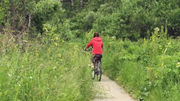 Ciclista donna a cavallo in bicicletta . — Video Stock