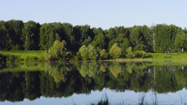 Fiskare på båten i vacker sjö med reflektion av frodig Grön skog — Stockvideo