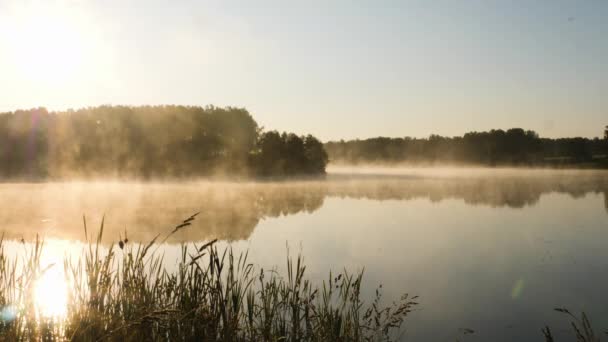 Niebla matutina en el lago, disparo al amanecer — Vídeos de Stock