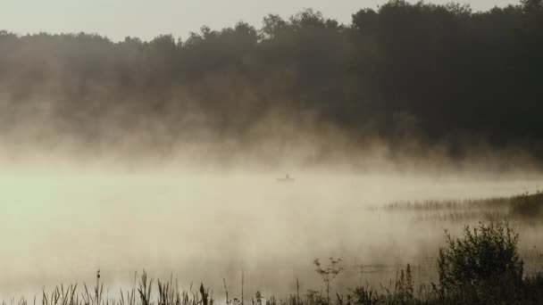 Misty Lake at adam balıkçılık — Stok video