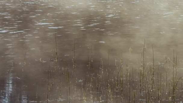 Spokojna i cicha rzeka lub jezioro pod gęstą mgłą. — Wideo stockowe