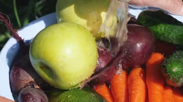 Мытье овощей и фруктов под краном — стоковое видео