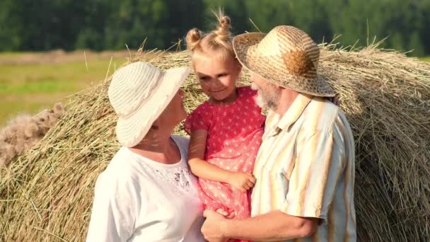 Happy grandparents with little granddaughter in the meadow — Stock Video