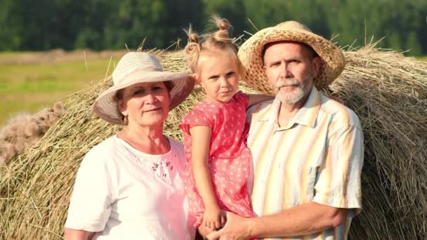 Grandparents with little granddaughter in the meadow — Stock Video