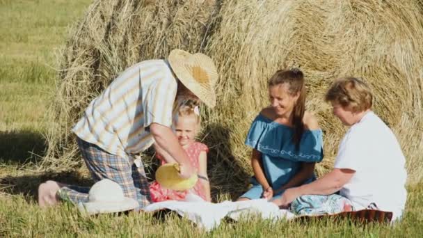 Happy family on picnic at the meadow — Stock Video