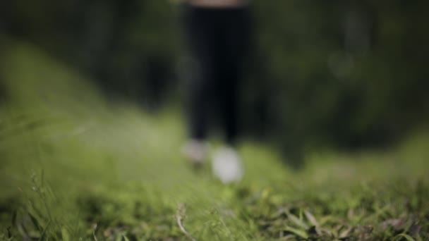 Jogging ao ar livre na floresta — Vídeo de Stock