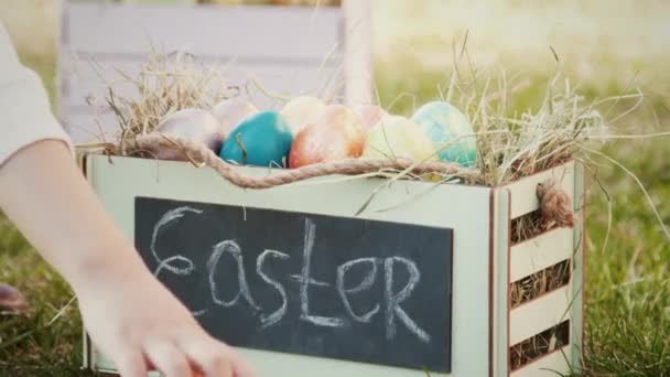 Niño recoger huevos de Pascua de colores — Vídeos de Stock