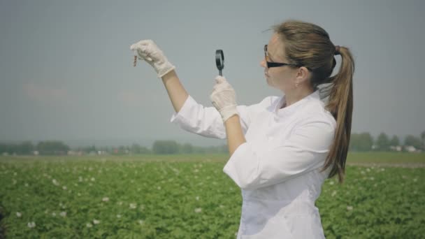 女生物学家检查害虫 — 图库视频影像