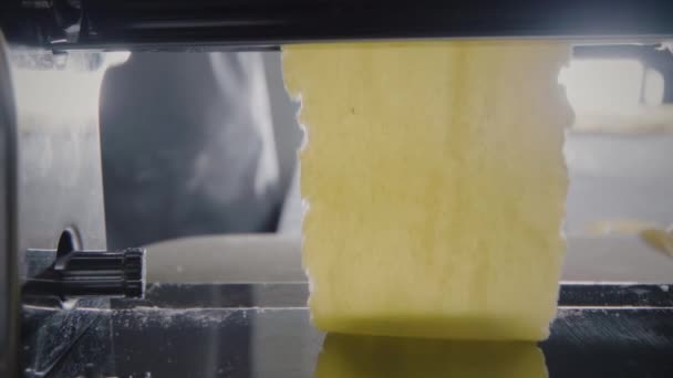 Профессиональное оборудование для производства макарон — стоковое видео