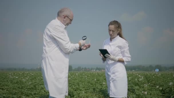 Cientistas que pesquisam o campo agrícola — Vídeo de Stock