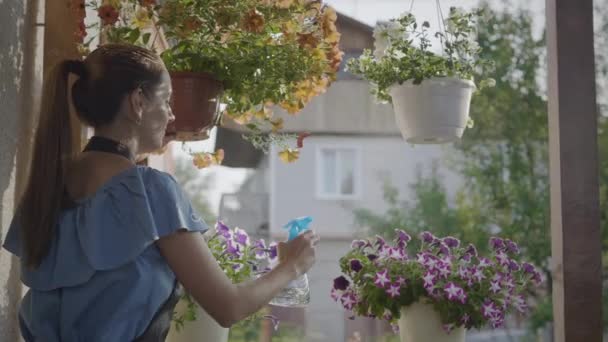 Žena zalévání květiny z láhve sprej — Stock video