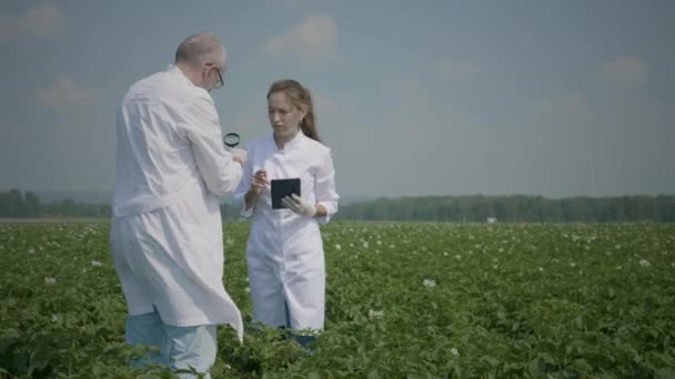 A tudósok mezőgazdasági területen dolgoznak — Stock videók