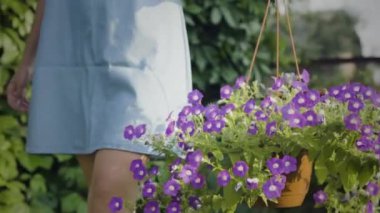 Kadın saksı taşıyor.