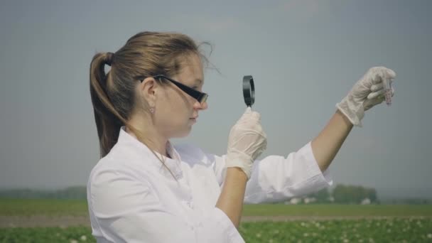 Vrouwelijke wetenschapper die ongedierte onderzoekt — Stockvideo