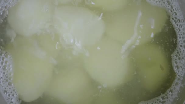 Les pommes de terre sont bouillies dans une casserole — Video
