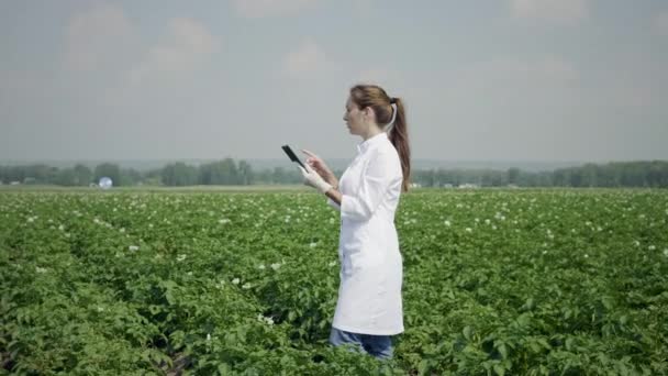Agronom bei der Arbeit in einem Feld mit einem digitalen Tablet — Stockvideo