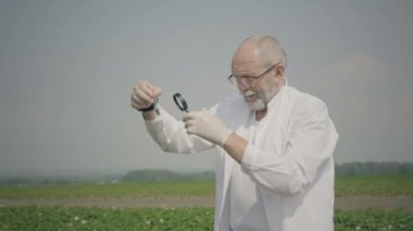 Agronomist böcekleri araştırıyor.