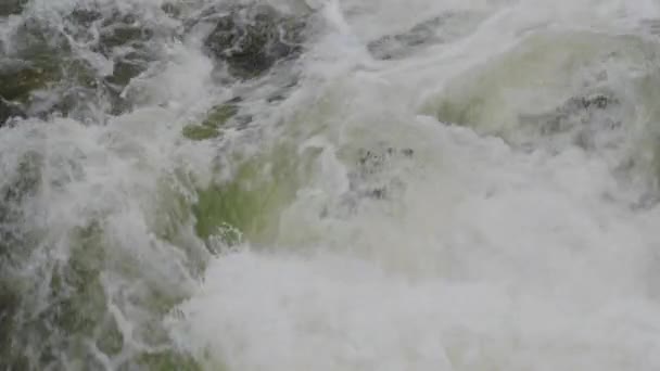 Wild Mountain River close-up overvloedige heldere stroom. — Stockvideo