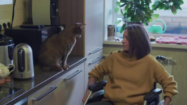 Kvinna i rullstol matar husdjur — Stockvideo