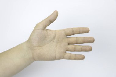 El, palmiye, düz el, parmak, parmak, beyaz bir arka plan. Yardım eli. Elini tutar.