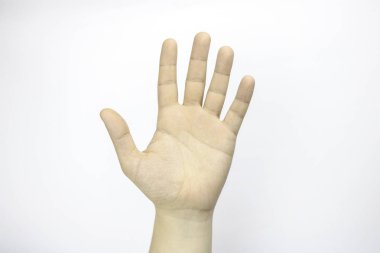 El, palmiye, düz el, parmak, parmak, beyaz bir arka plan. Yardım eli. Elini tutar.