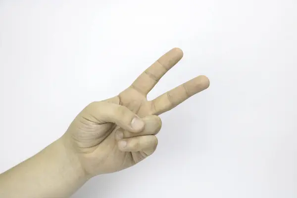 El hareketleri. Zafer jest. Zafer el. İki parmak. Teneke çağrı. Her şey yolunda. Çok iyi.