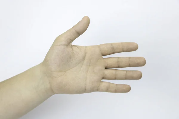 El, palmiye, düz el, parmak, parmak, beyaz bir arka plan. Yardım eli. Elini tutar.