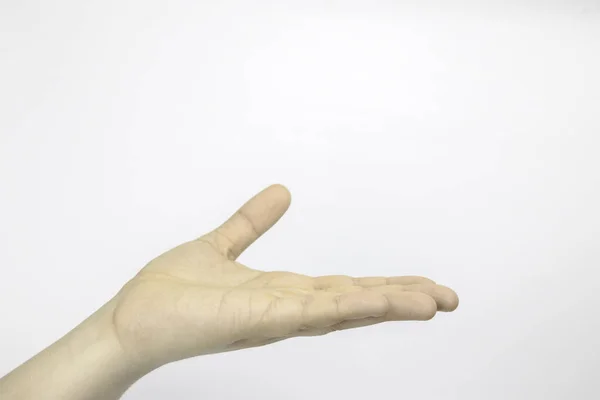 El, palmiye, düz el, parmak, parmak, beyaz bir arka plan. Yardım eli. Elini tutar.