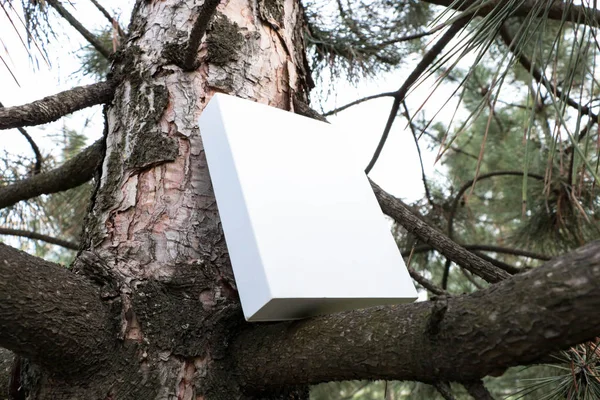 Düzen için beyaz Not defteri. Kitap eski pencereden. Bitki, beyaz kağıt üzerinde sarmaşık. 