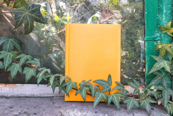 Yellow Book. Yellow notepad. Orange book. Layout, standing on the window. Plant ivy.