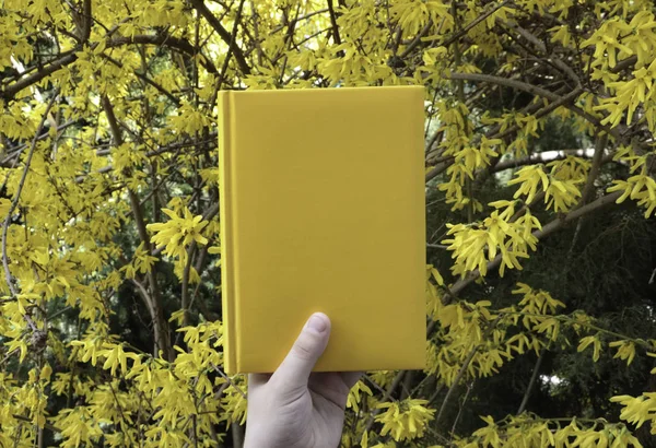 Yellow Book. Yellow notepad. Orange book. Layout, standing on the window. Plant ivy.