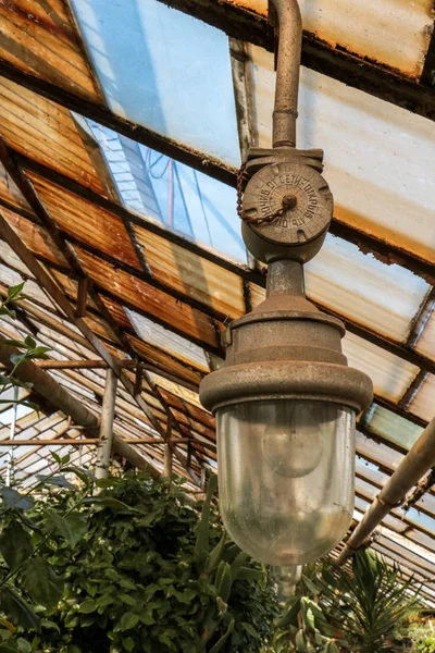 가로등 식물원 선인장 천장에 — 스톡 사진