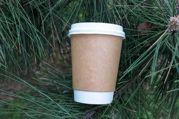Coffee paper cup. A cup of coffee is in the plants. Glass in green. Mock up paper cup. Coffee to go.