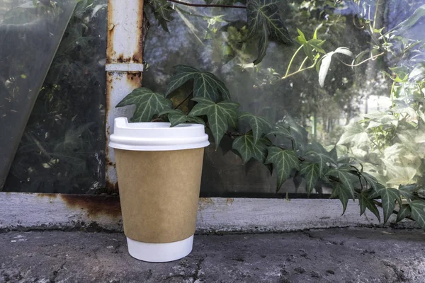 Coffee paper cup. A cup of coffee is in the plants. Glass in green. Mock up paper cup. Coffee to go.