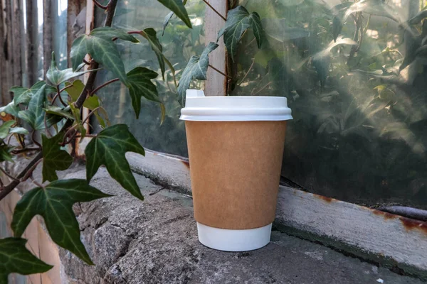 Kahve kağıt bardağı. Bitkilerde bir fincan kahve var. Cam yeşil. Kağıt kupasını taklit et. Gitmek için kahve.
