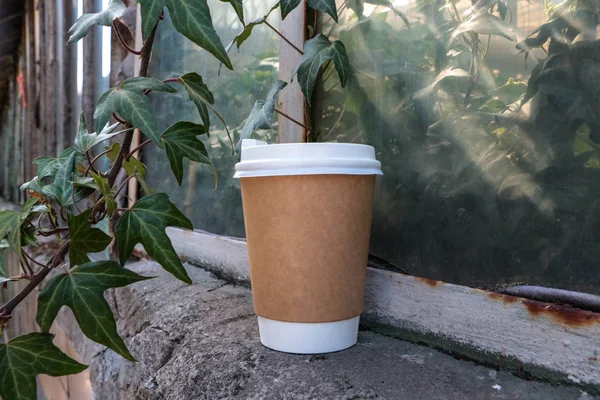 Kahve kağıt bardağı. Bitkilerde bir fincan kahve var. Cam yeşil. Kağıt kupasını taklit et. Gitmek için kahve.