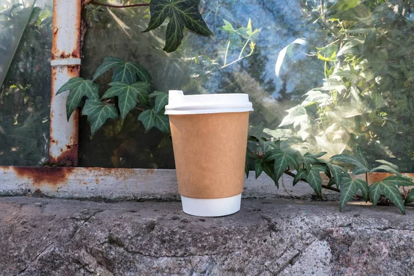 Coffee paper cup. A cup of coffee is in the plants. Glass in green. Mock up paper cup. Coffee to go.