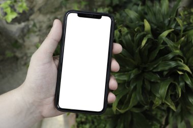 Ağaç, Park, Bahçe arka planda el telefon. Smartphone. Mock