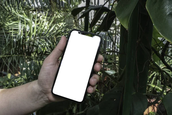 Ağaç, Park, Bahçe arka planda el telefon. Smartphone. Mock