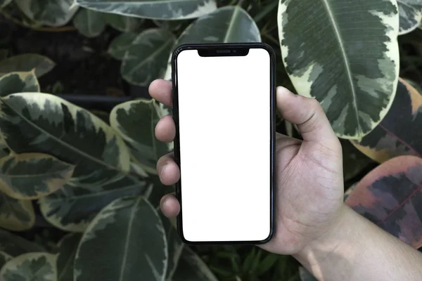 Telefon Ruce Pozadí Stromů Parku Zahrady Smartphone Mock — Stock fotografie