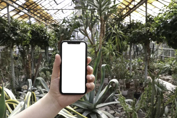 Ağaç, Park, Bahçe arka planda el telefon. Smartphone. Mock