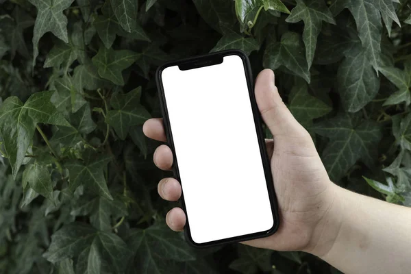 Ağaç, Park, Bahçe arka planda el telefon. Smartphone. Mock