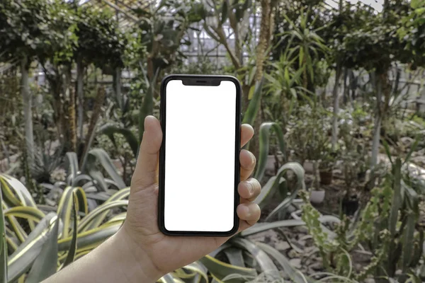 Telefon Ręku Tle Drzew Park Ogród Smartphone Makiety — Zdjęcie stockowe
