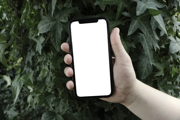 Telefon Ręku Tle Drzew Park Ogród Smartphone Makiety — Zdjęcie stockowe